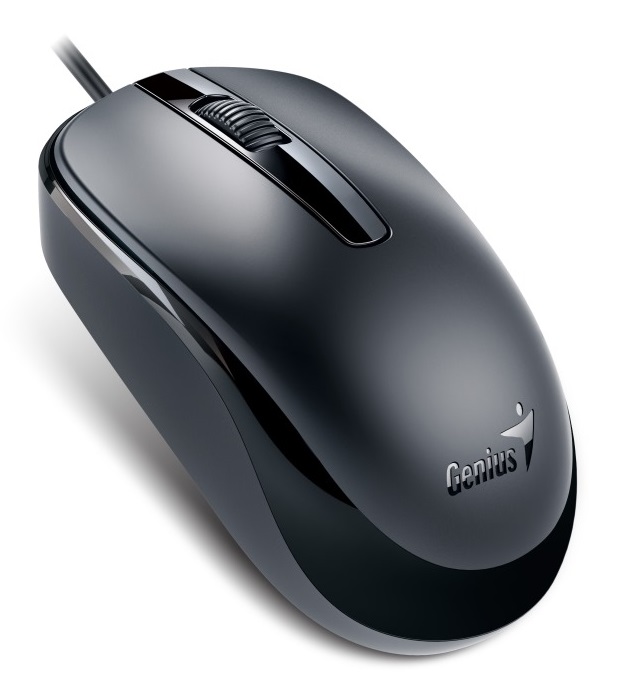 Mouse Genius DX-120 (USB)